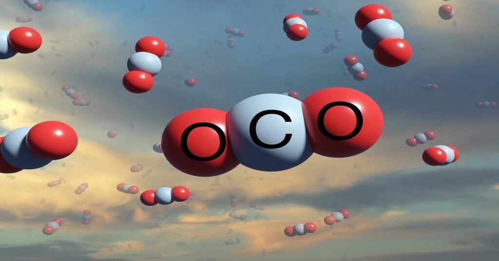Steps to Calculate Your Carbon Footprint Online